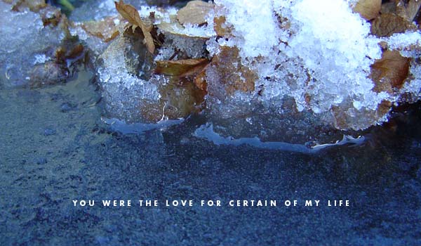 You were simply my beloved wife